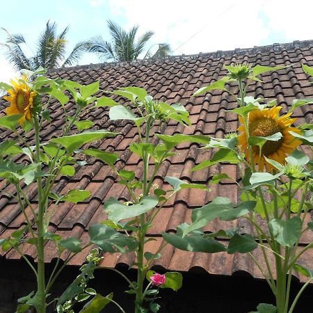 Ming Homestay Sidemen  Εξωτερικό φωτογραφία