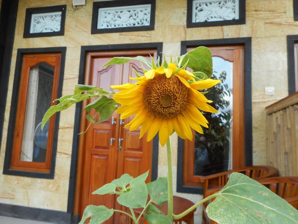 Ming Homestay Sidemen  Εξωτερικό φωτογραφία