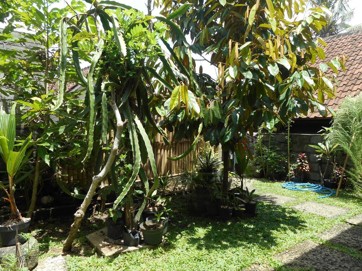 Ming Homestay Sidemen  Εξωτερικό φωτογραφία